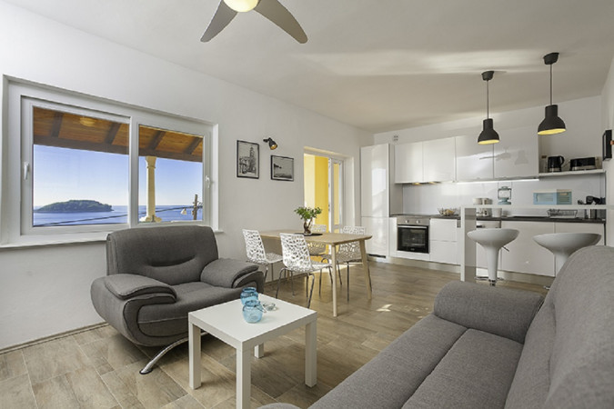 Comfortable accommodation with a touch of Mediterranean luxury, Villa Pudaric BLATO